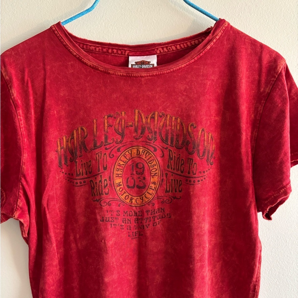 Y2K Harley Davidson tie dye distressed T-shirt brick red size M